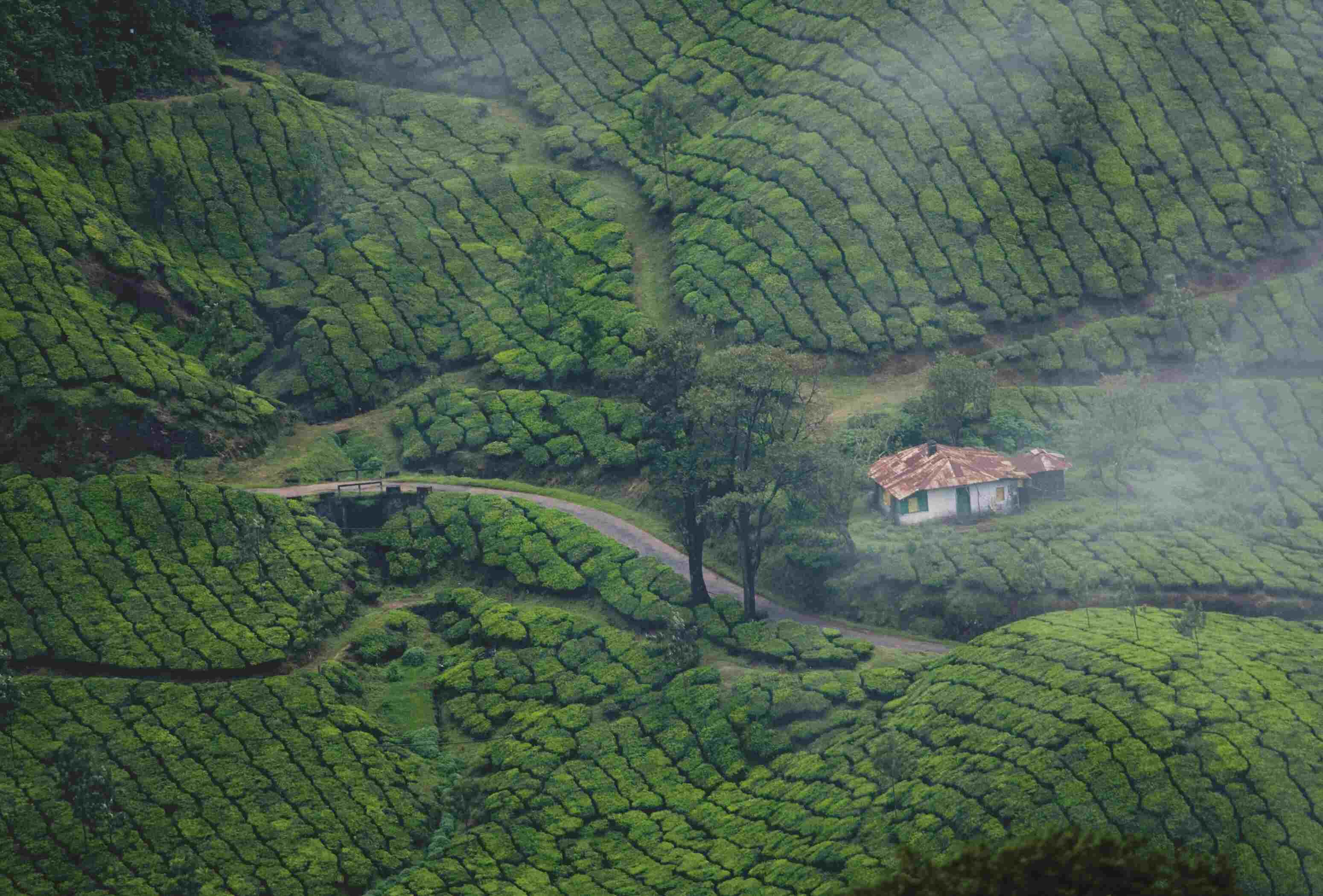Munnar Hill Station - Pazheri Cab Service