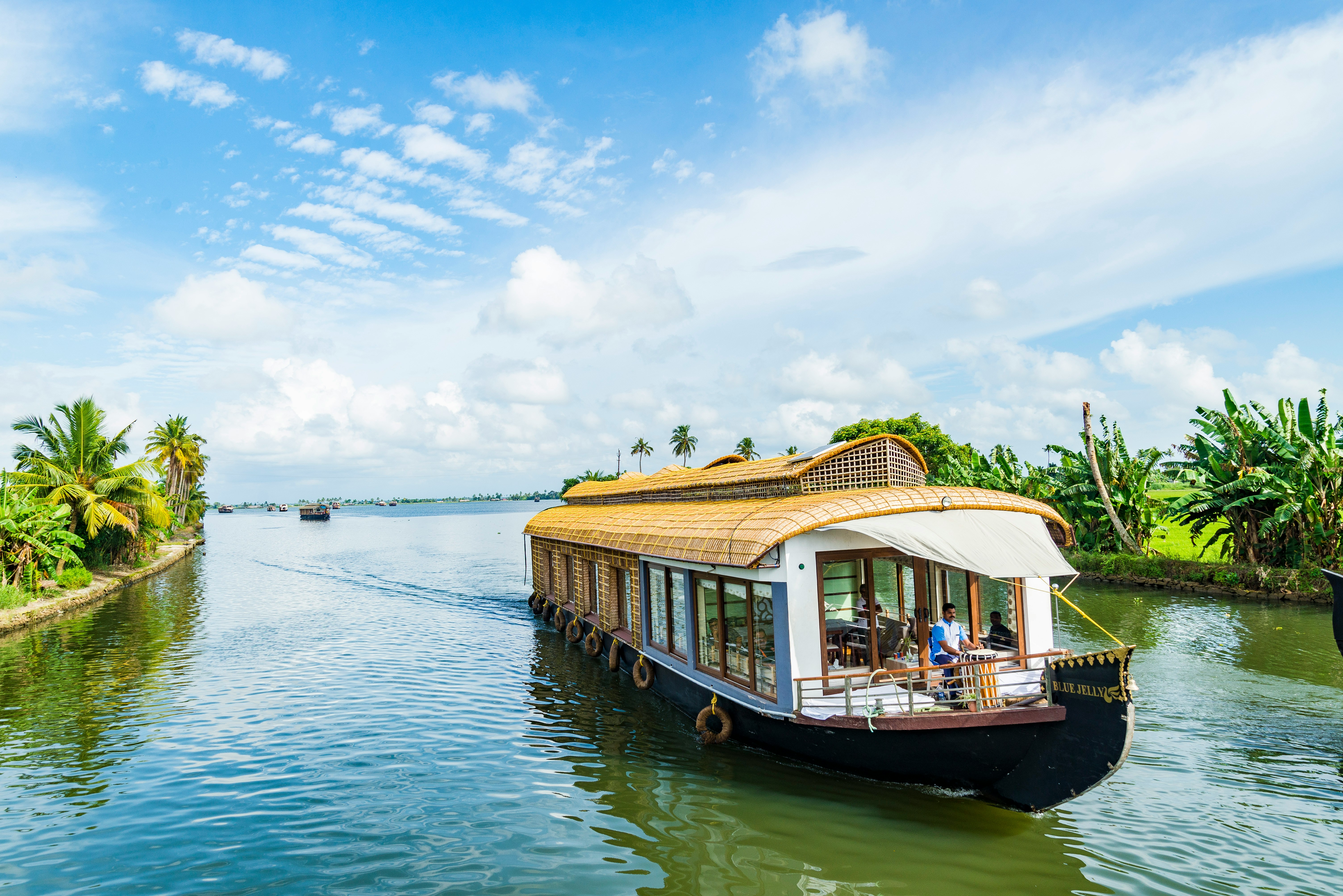 Alappuzha Backwaters tour image 3