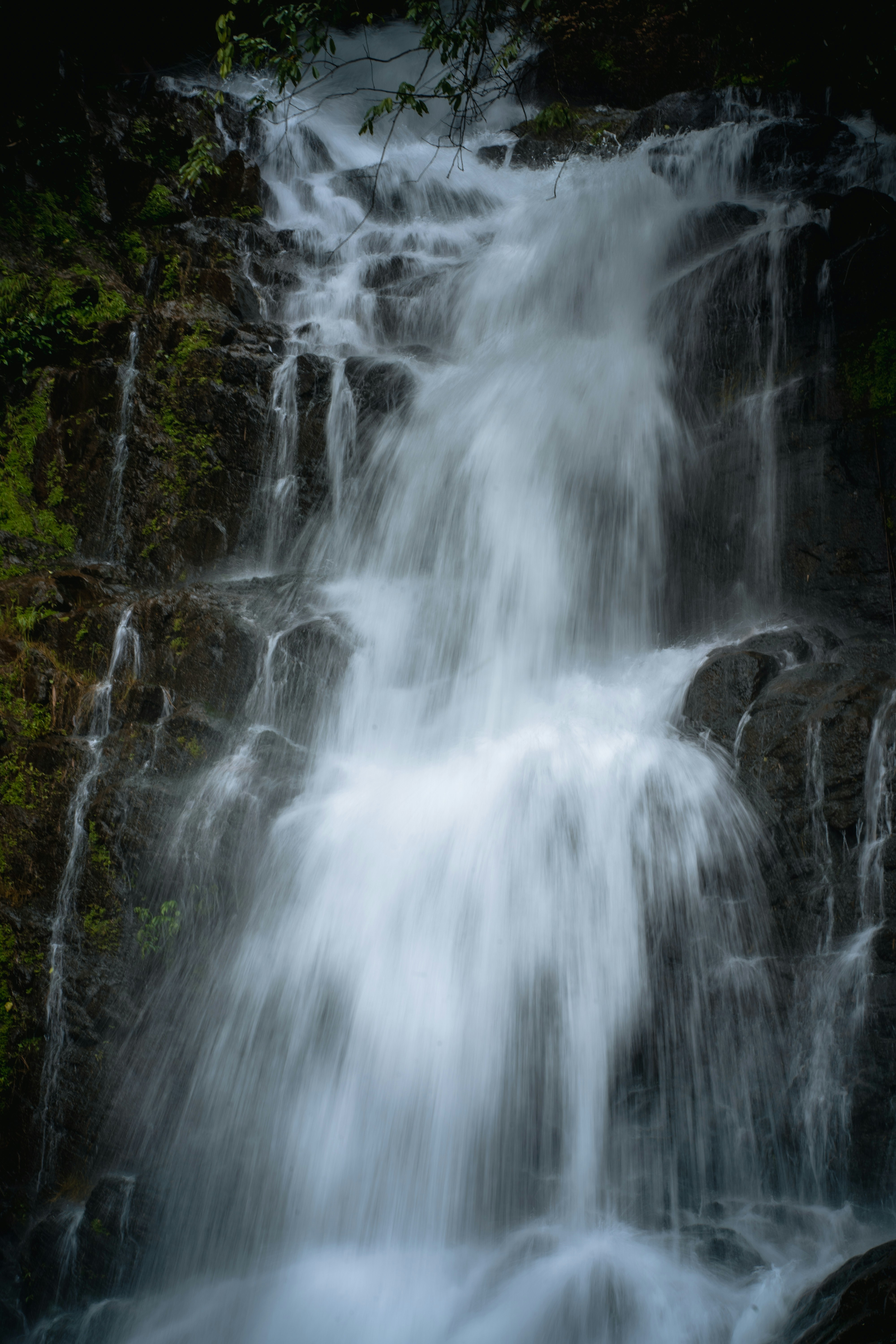 Thekkady Wildlife & Spice Tour tour image 3